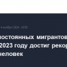 Приток постоянных мигрантов в ОЭСР в 2023 году достиг рекордных 6,5 млн человек