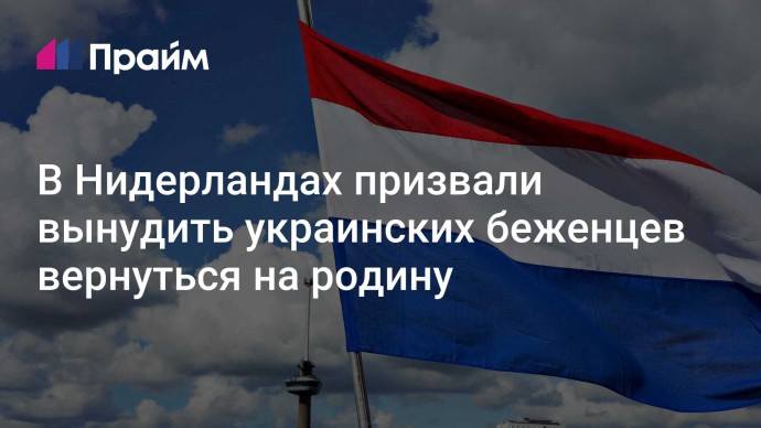 В Нидерландах призвали вынудить украинских беженцев вернуться на родину