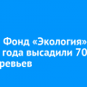 РСХБ и Фонд «Экология» с начала года высадили 70 500 деревьев