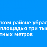 В Братском районе убрали свалку площадью три тысячи квадратных метров