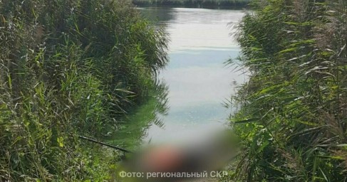 В Калининграде от удара током погиб рыбак, зацепивший удочкой высоковольтные провода