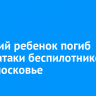 9-летний ребенок погиб после атаки беспилотников в Подмосковье