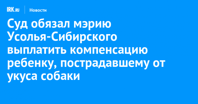 Суд обязал мэрию Усолья-Сибирского выплатить компенсацию ребенку, пострадавшему от укуса собаки