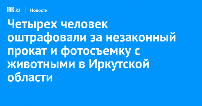 Четырех человек оштрафовали за незаконный прокат и фотосъемку с животными в Иркутской области