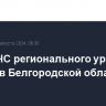 Режим ЧС регионального уровня введен в Белгородской области