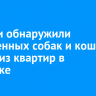 Жители обнаружили истощенных собак и кошек в одной из квартир в Ангарске