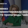 Матвиенко прокомментировала закон о запрете пропаганды чайлдфри