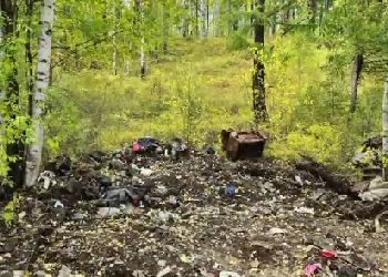 В Сковородинском округе убрали незаконную свалку, но не до конца