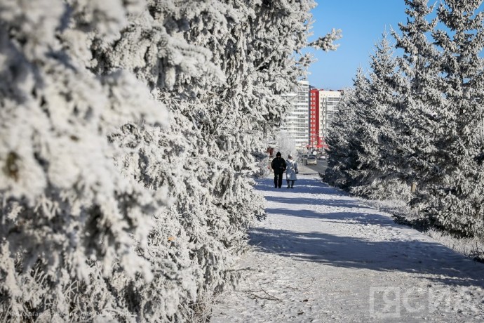 Народные приметы на 3 февраля 2025 года: что нельзя делать в Максимов день