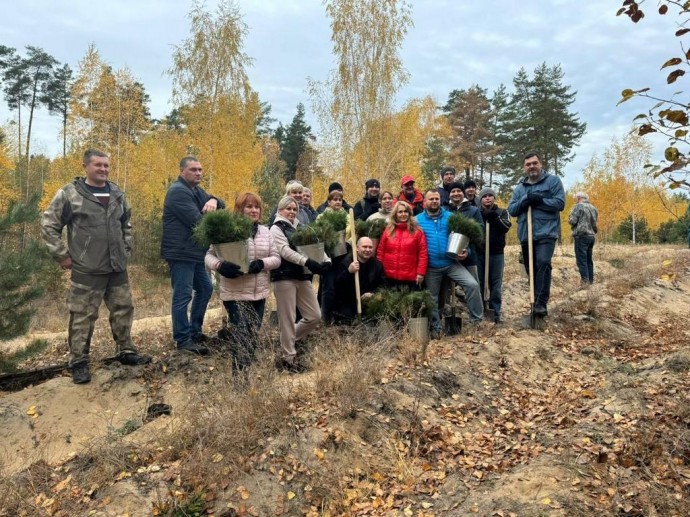 В Белгороде высадили 8 000 сеянцев обыкновенной и крымской сосны