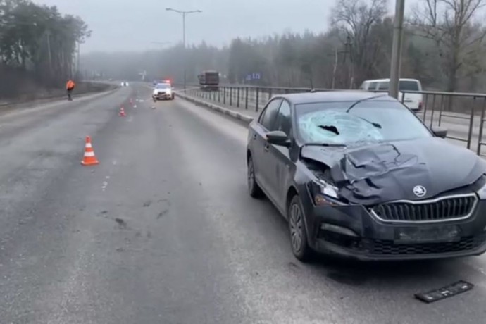 Под Шебекино «Шкода» насмерть сбила бабушку