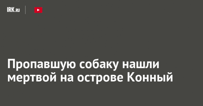 Пропавшую собаку нашли мертвой на острове Конный