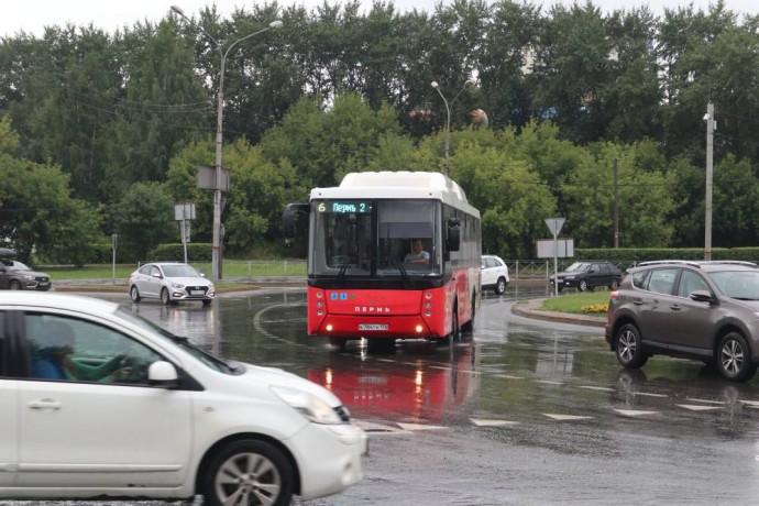 ​Перми требуется более 500 автобусов различной вместимости на городские маршруты