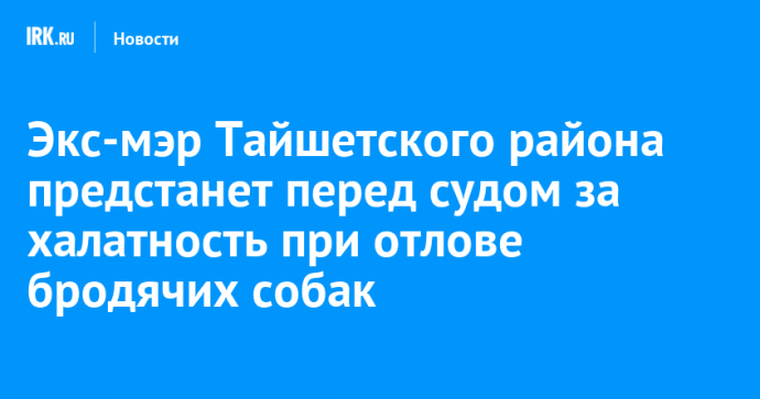 Экс-мэр Тайшетского района предстанет перед судом за халатность при отлове бродячих собак