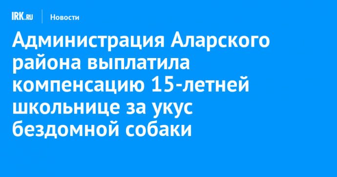 Администрация Аларского района выплатила компенсацию 15-летней школьнице за укус бездомной собаки