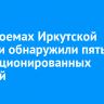 На водоемах Иркутской области обнаружили пять несанкционированных купелей