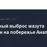 Повторный выброс мазута выявлен на побережье Анапы