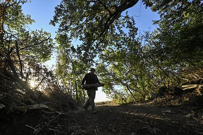 Названы потери ВСУ с момента вторжения в Курскую область