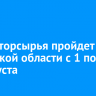 Сбор вторсырья пройдет в Иркутской области с 1 по 29 августа