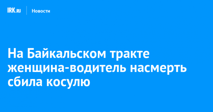 На Байкальском тракте женщина-водитель насмерть сбила косулю