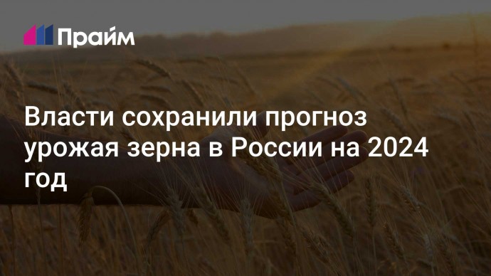 Власти сохранили прогноз урожая зерна в России на 2024 год