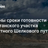 Названы сроки готовности Пакистанского участка сухопутного Шелкового пути