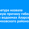 Прокуратура назвала вероятную причину гибели рыбы в водоемах Аларского и Черемховского районов