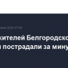 Шесть жителей Белгородской области пострадали за минувший день