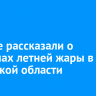 Ученые рассказали о причинах летней жары в Иркутской области