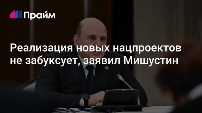 Реализация новых нацпроектов не забуксует, заявил Мишустин