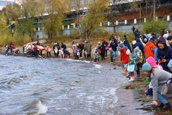 "Водорослям крышка!". Начат сбор пластика для закупки мальков рыб