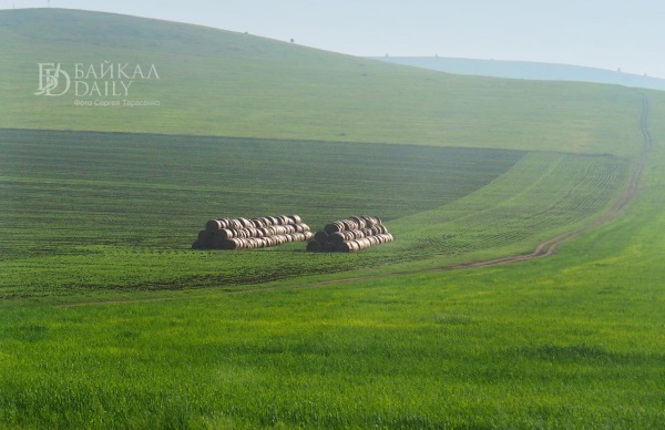 Сельхозземли в Бурятии разрастаются