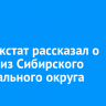 Иркутскстат рассказал о мамах из Сибирского федерального округа