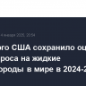 Минэнерго США сохранило оценку роста спроса на жидкие углеводороды в мире в 2024-25 гг.