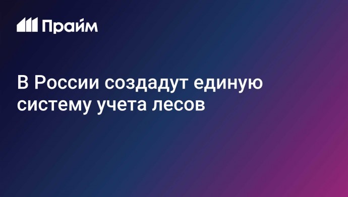 В России создадут единую систему учета лесов