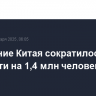 Население Китая сократилось за год почти на 1,4 млн человек