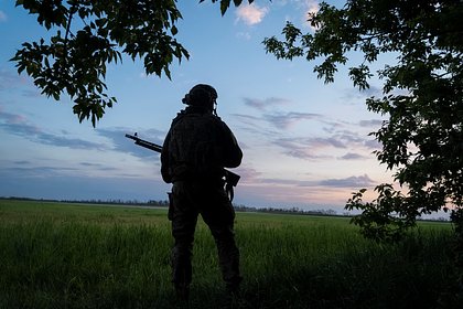 В подполье рассказали о бизнесе на человеческих органах шотландских наемников