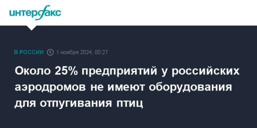 Около 25% предприятий у российских аэродромов не имеют оборудования для отпугивания птиц