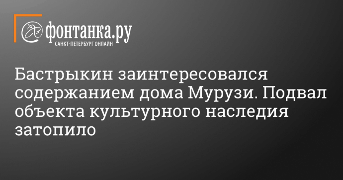 Бастрыкин заинтересовался содержанием дома Мурузи. Подвал объекта культурного наследия затопило