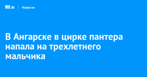 В Ангарске в цирке пантера напала на трехлетнего мальчика