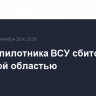 Три беспилотника ВСУ сбито над Брянской областью