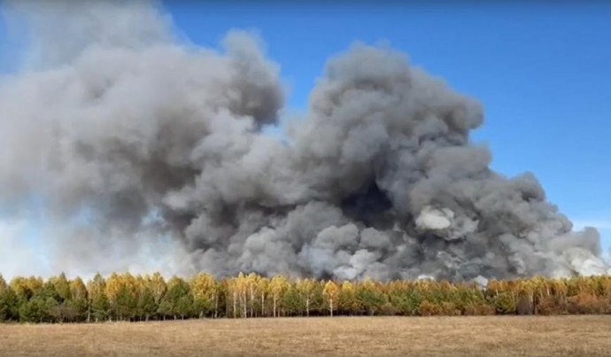 Кадры ужасают: крупный лесной пожар в Шемышейском районе попал на видео