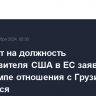 Кандидат на должность представителя США в ЕС заявила, что при Трампе отношения с Грузией улучшатся