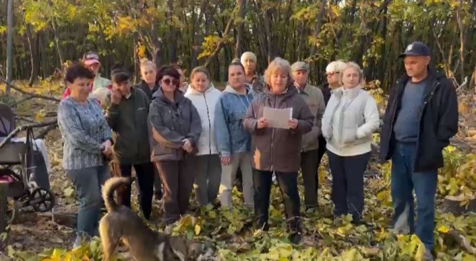 «‎Нас ни о чем не предупредили».  Жители села в Приморье протестуют против вырубки леса