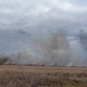 В амурских заказниках готовятся к пожароопасному сезону