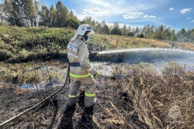 В Ярославской области тушили лесной пожар