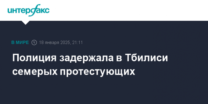 Полиция задержала в Тбилиси семерых протестующих