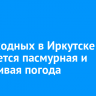 На выходных в Иркутске ожидается пасмурная и дождливая погода