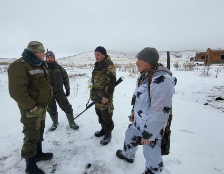 В минэкологии Башкирии рассказали о ситуации с волками в Инзере