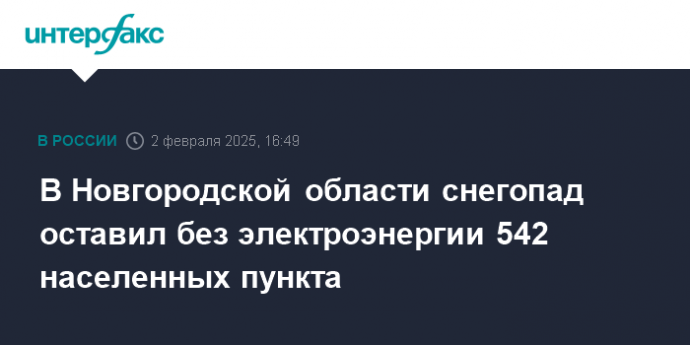 В Новгородской области снегопад оставил без электроэнергии 542 населенных пункта